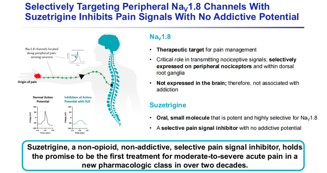 新品上架 | NaV1.8人源化大鼠：助力“无瘾止痛”新药研发，告别跨物种药效差异