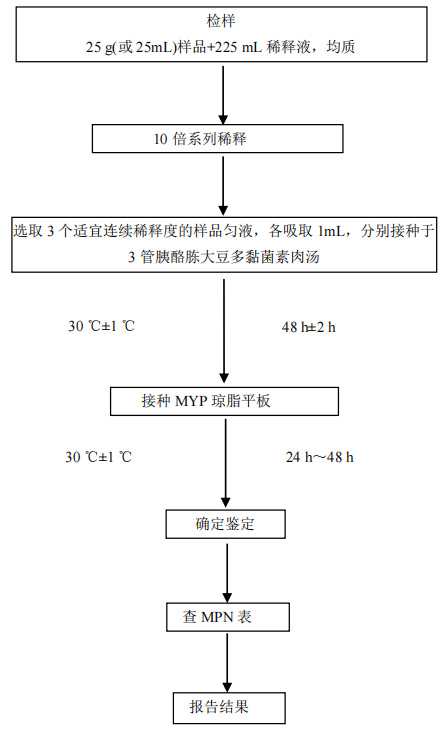 新闻图片16