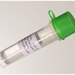 鼠尾胶原蛋白I型