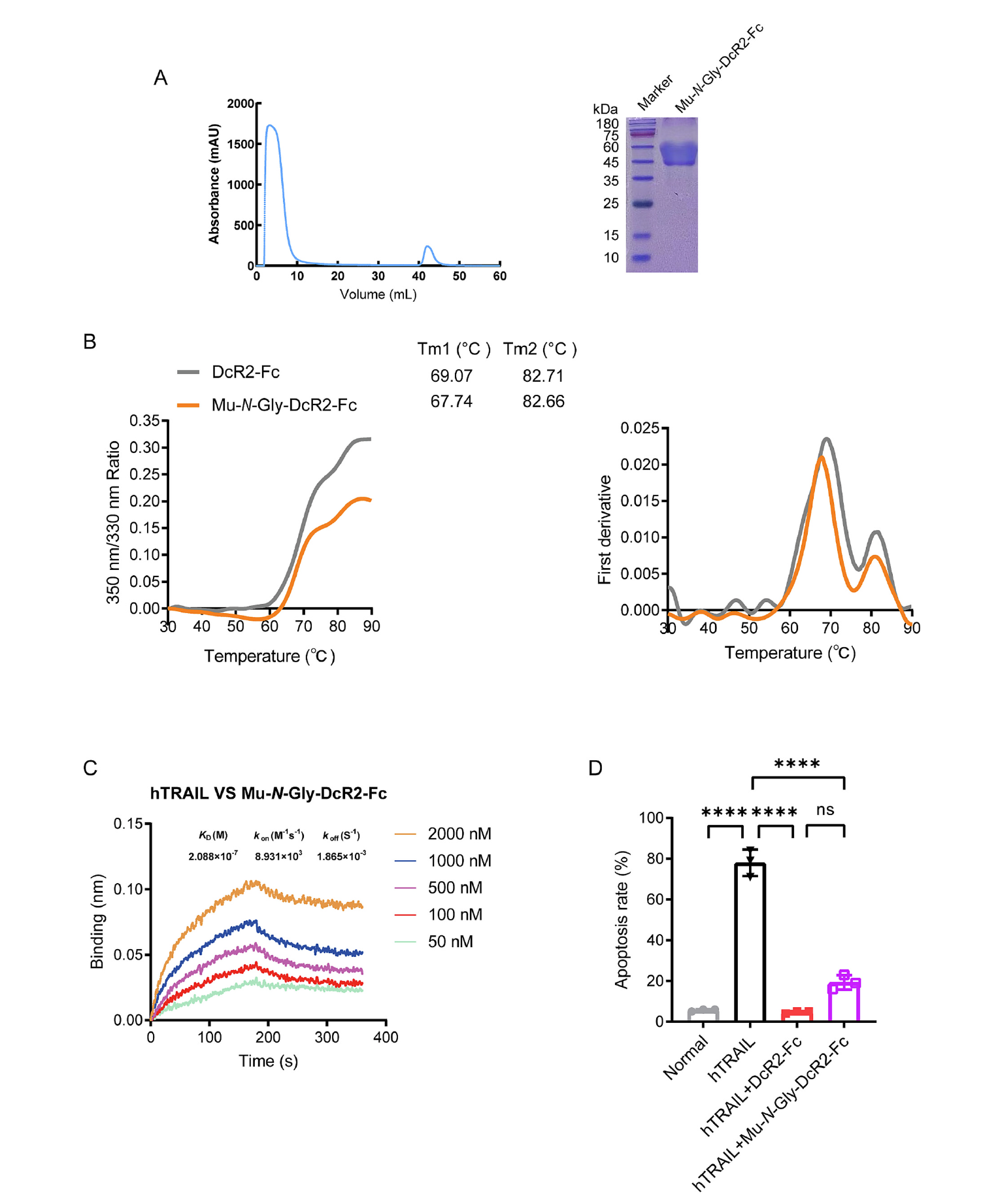 蛋白稳定性分析仪PSA-16助力心梗的机制研究和药物开发