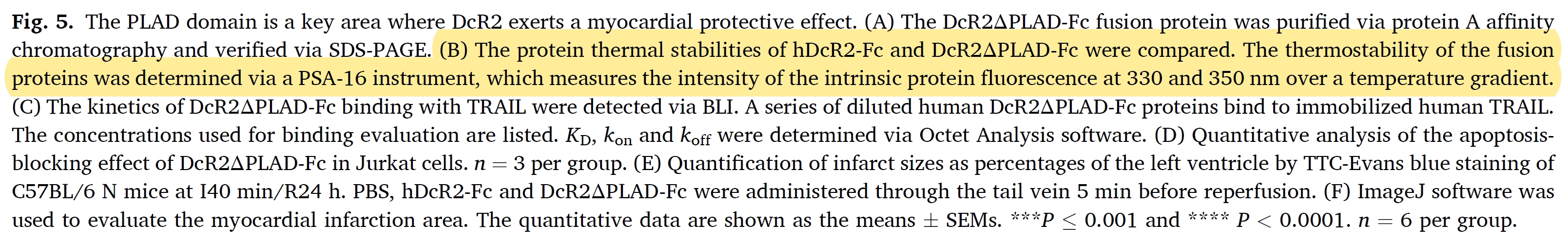 蛋白稳定性分析仪PSA-16助力心梗的机制研究和药物开发