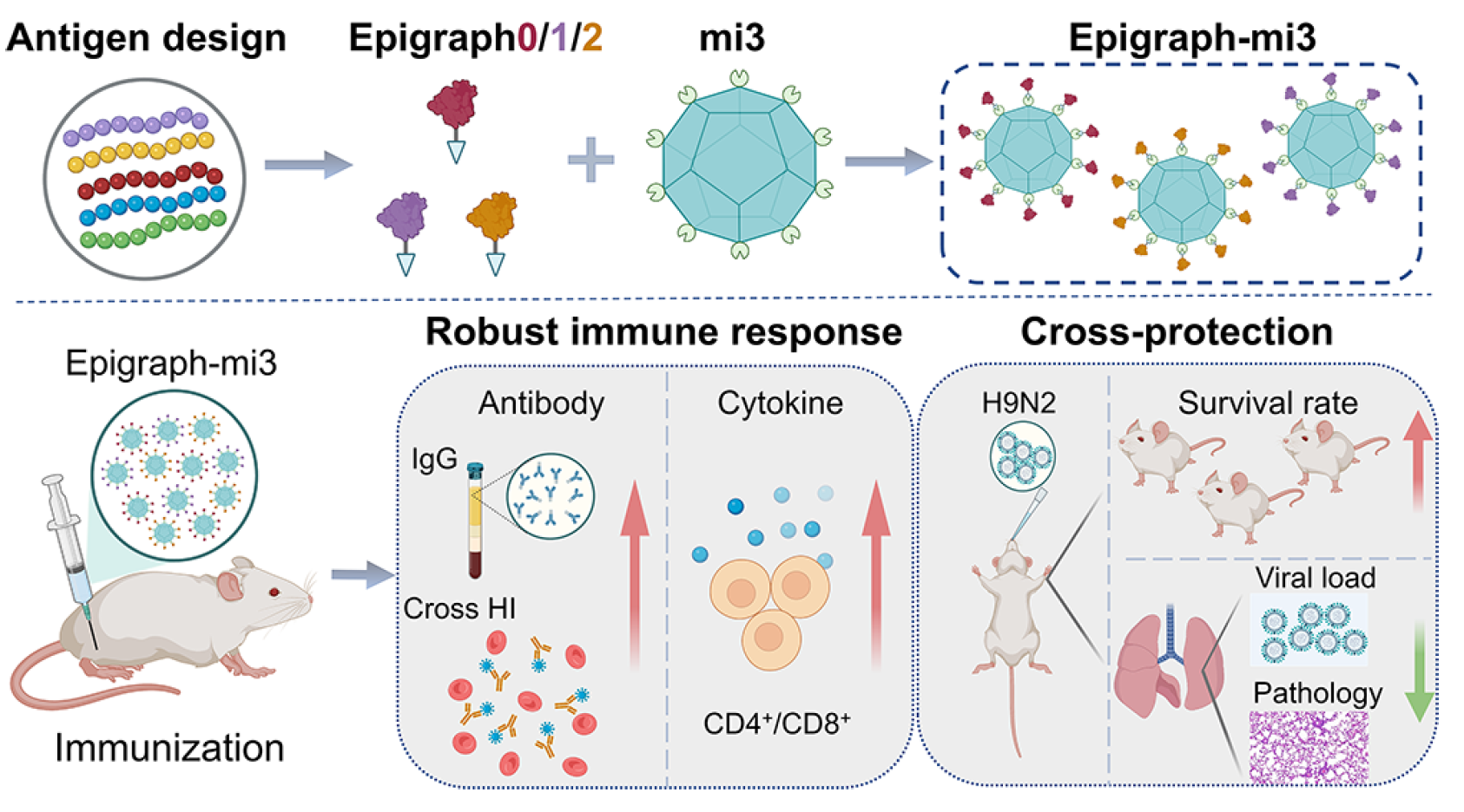 蛋白稳定性分析仪PSA-16助力H9N2疫苗研究