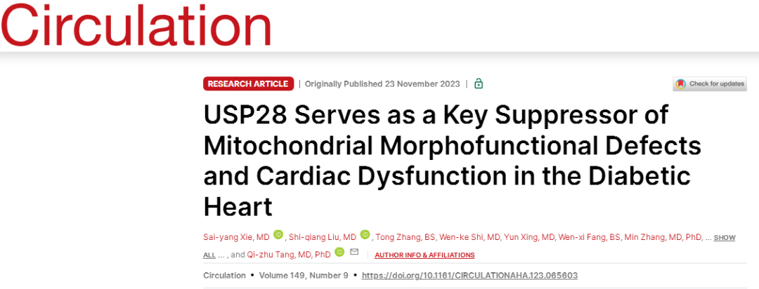 IF=37.8【AAV在心脏疾病中的应用】武汉大学人民医院唐其柱主任医师团队研究揭示：USP28是糖尿病心肌病治疗的潜在靶点