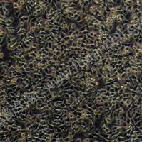 人结肠癌细胞(低分化);RKO (STR)