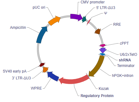 随叫随到的基因沉默术！连必需基因也能被轻松拿捏~