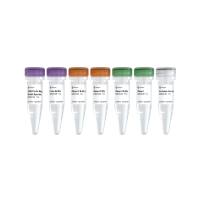 Ribo-clean rRNA Depletion Kit Mega (Model Species)（RN426-01/02/03）