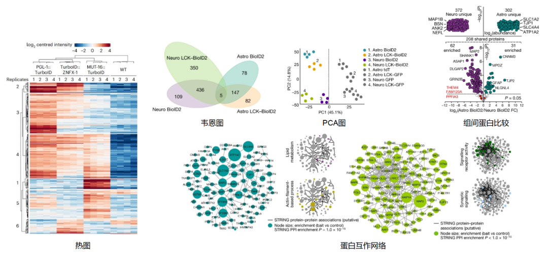 产品细节图片16