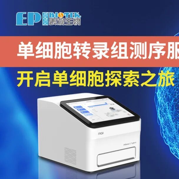 scRNA-seq:单细胞转录组测序服务,开启单细胞探索之旅
