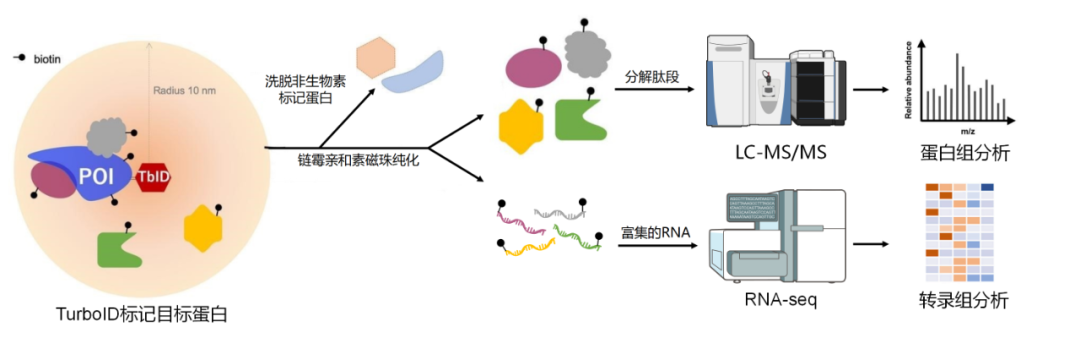 产品细节图片15
