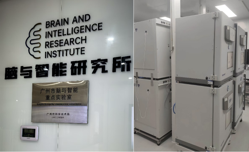 夏日实验室小确幸：进门的空调，稳定生长的细胞