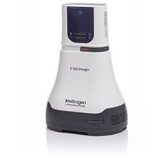 桌子上的微波炉

AI 生成的内容可能不正确。