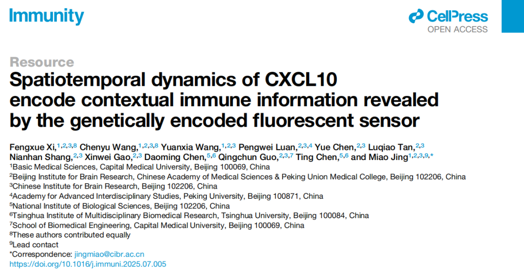 IF=26.3【新品推荐】Immunity｜北京脑所井淼研究员团队开发趋化因子CXCL10荧光探针，精准描绘免疫信号时空图谱
