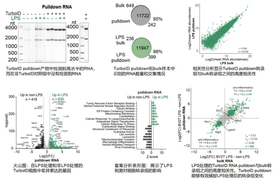 产品细节图片17