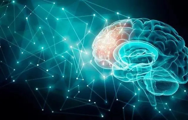 想知道神经科学咋研究？盘点脑立体定位仪等前沿技术与方法