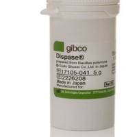 Gibco分散酶 II，粉末