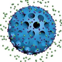 负载泼尼松龙的介孔聚多巴胺纳米颗粒被透明质酸修饰 MP@MPDA-HA