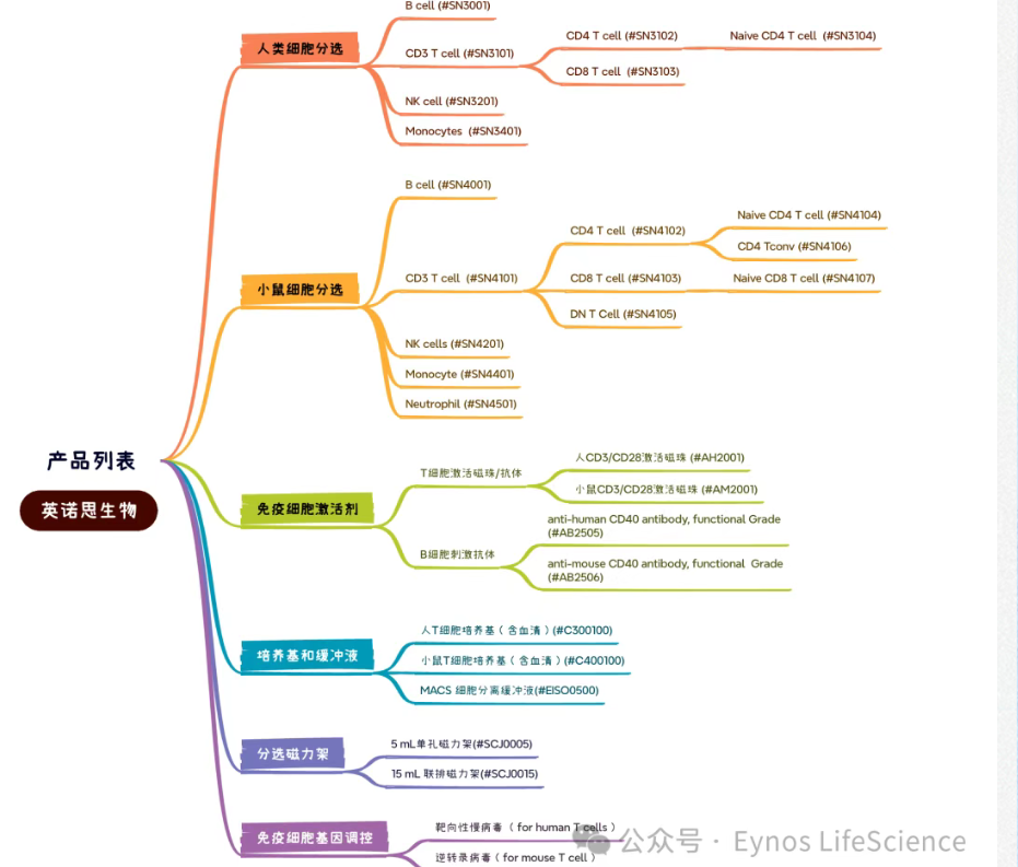 庆祝双节 | 英诺思生物细胞分选试剂盒买一赠一