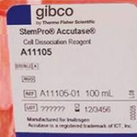 StemPro Accutase细胞解离试剂