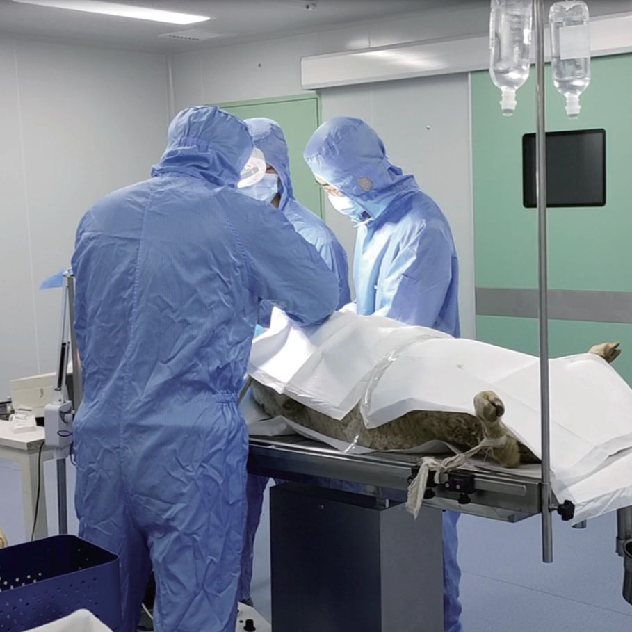 开学实验加Buff,科研优惠卷到底!