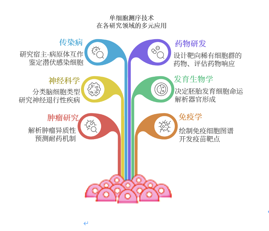 单细胞样品处理详解，不“被平均”的研究路