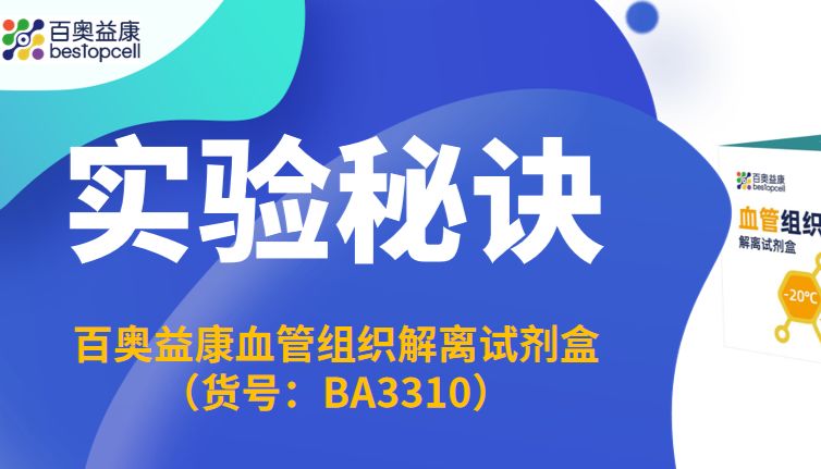 实验秘诀 | 百奥益康血管组织解离试剂盒使用攻略