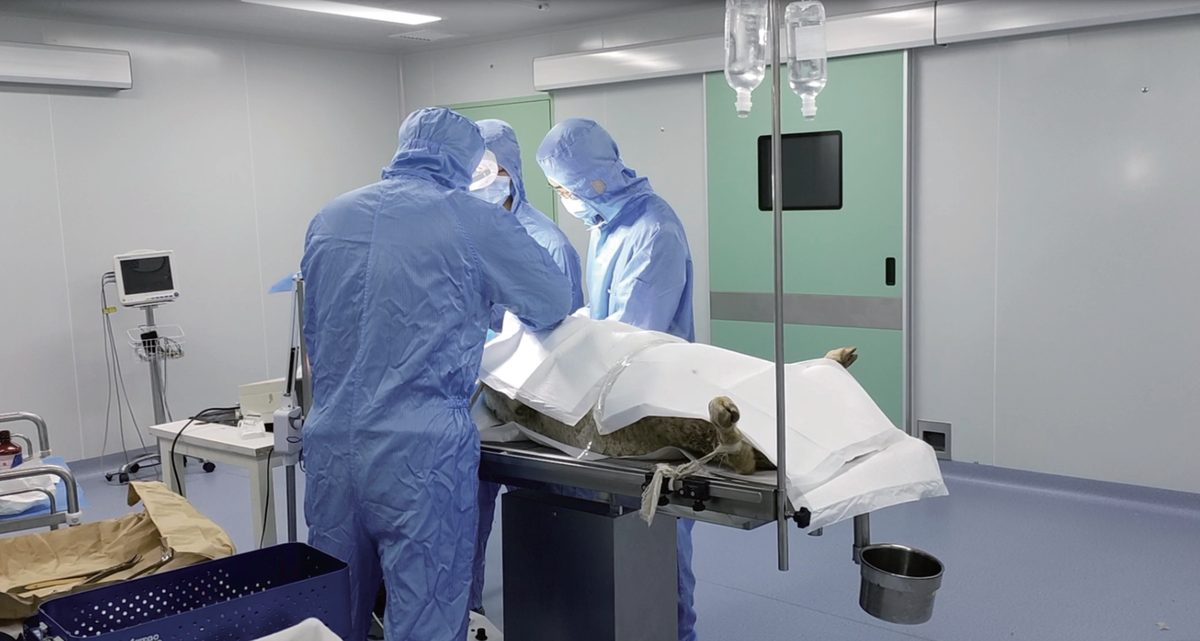 开学实验加Buff,科研优惠卷到底!