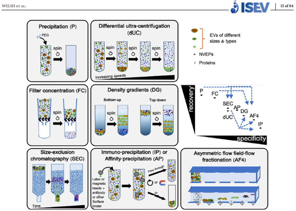 【细胞外囊泡】从入门到精通指南