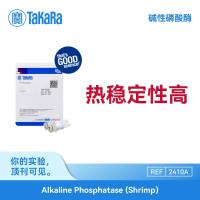 TaKaRa S1核酸酶-S1 Nuclease