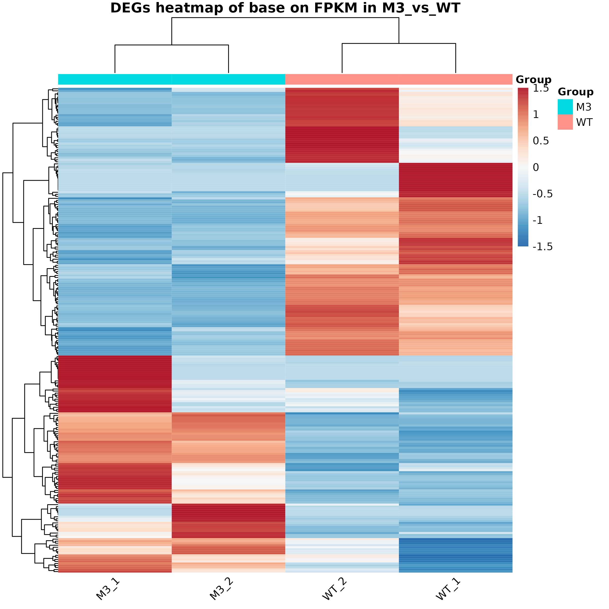 差异基因聚类热图 .png