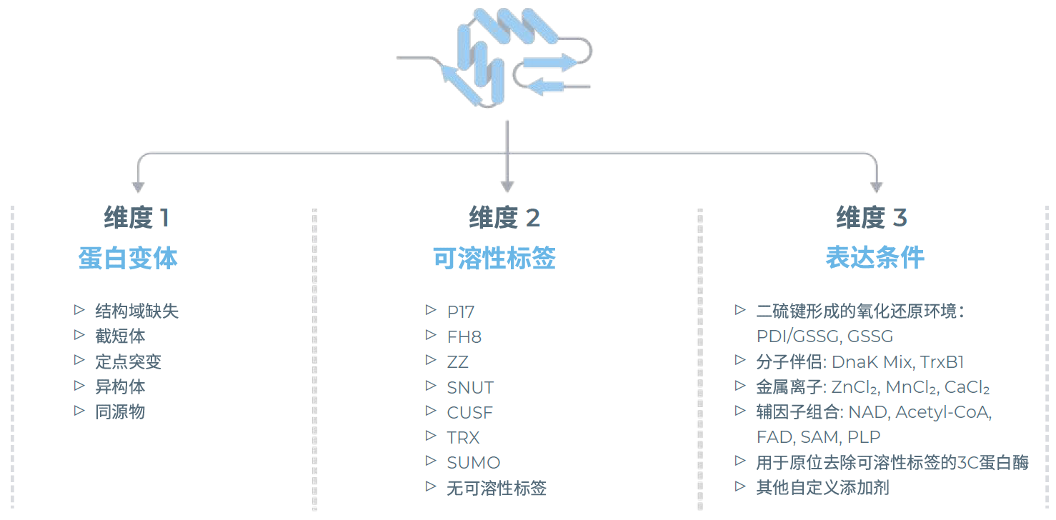 无细胞蛋白表达系统探索多种表达组合