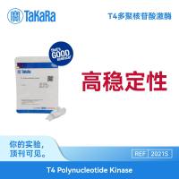 TaKaRa T4多聚核苷酸激酶T4 Polynucleotide Kinase
