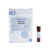 细胞核荧光染料 PI碘化丙啶