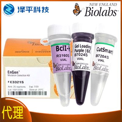 NEB Lambda 蛋白磷酸酶(Lambda PP) NEB Lambda Protein Phosphatase 货号:P0753L/P0753S