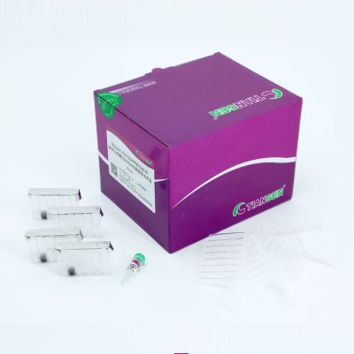 磁珠法外泌体/组织/血浆miRNA提取试剂盒