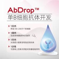 AbDrop基于微液滴的单B细胞抗体开发平台