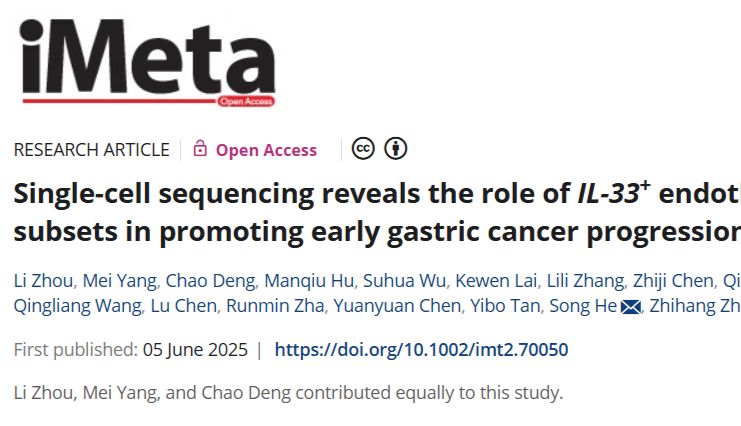 【IF 33.2】单细胞测序揭示IL-33+内皮细胞亚群促胃癌进展机制