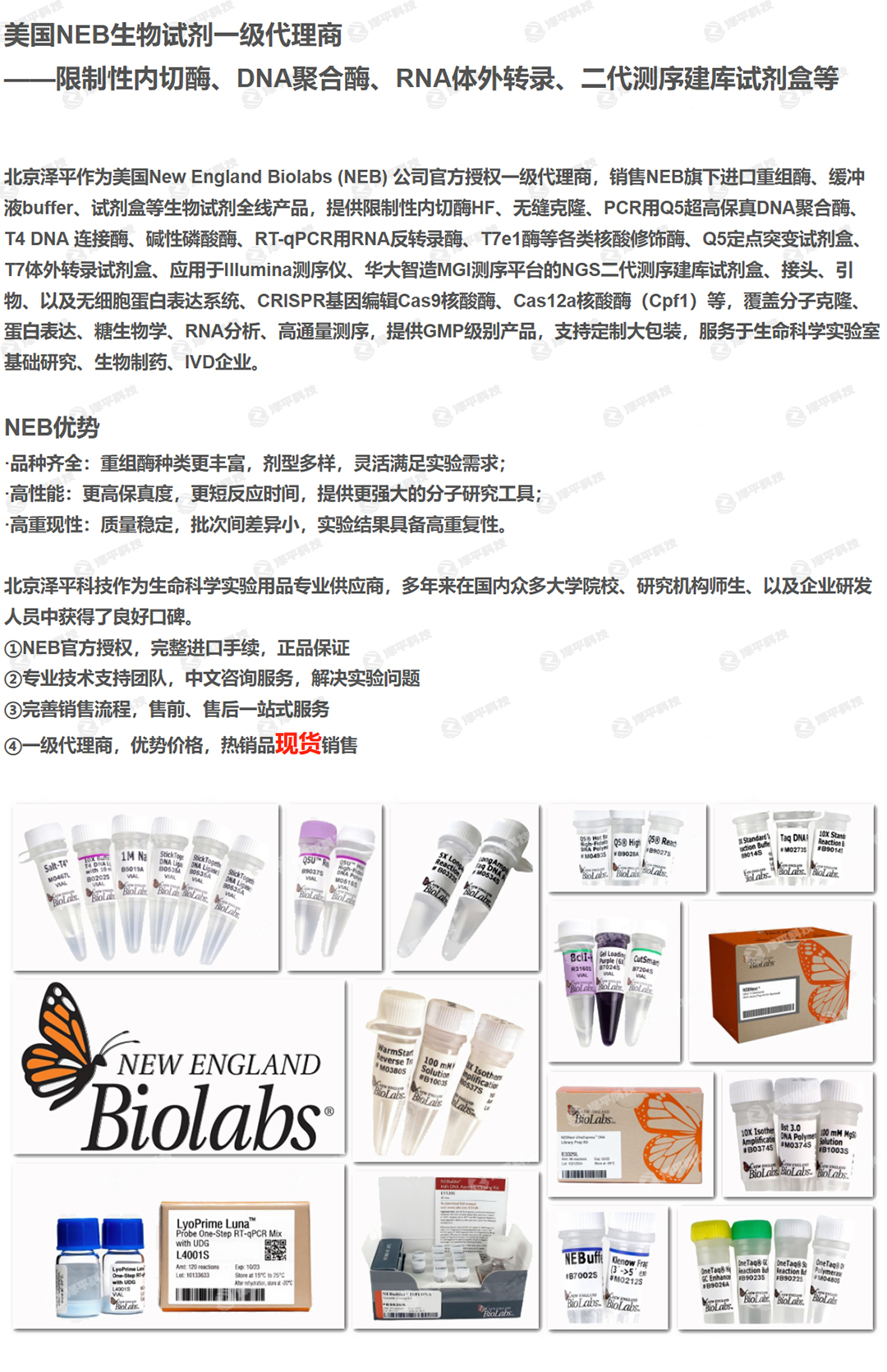 NEB SpeI-HF 限制性内切酶 NEB SpeI-HF