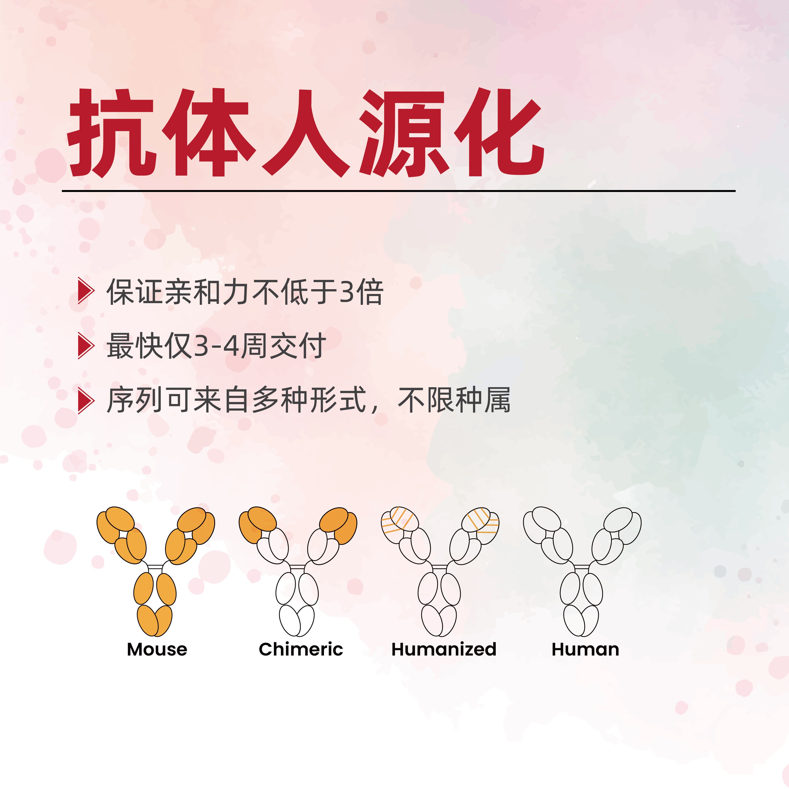 抗体人源化技术服务