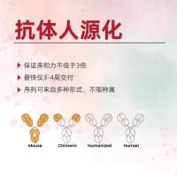 抗体人源化技术服务