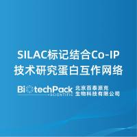 SILAC标记结合Co-IP技术研究蛋白互作网络