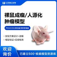裸鼠模型构建 动物造模 动物模型 动物实验 人源化肿瘤