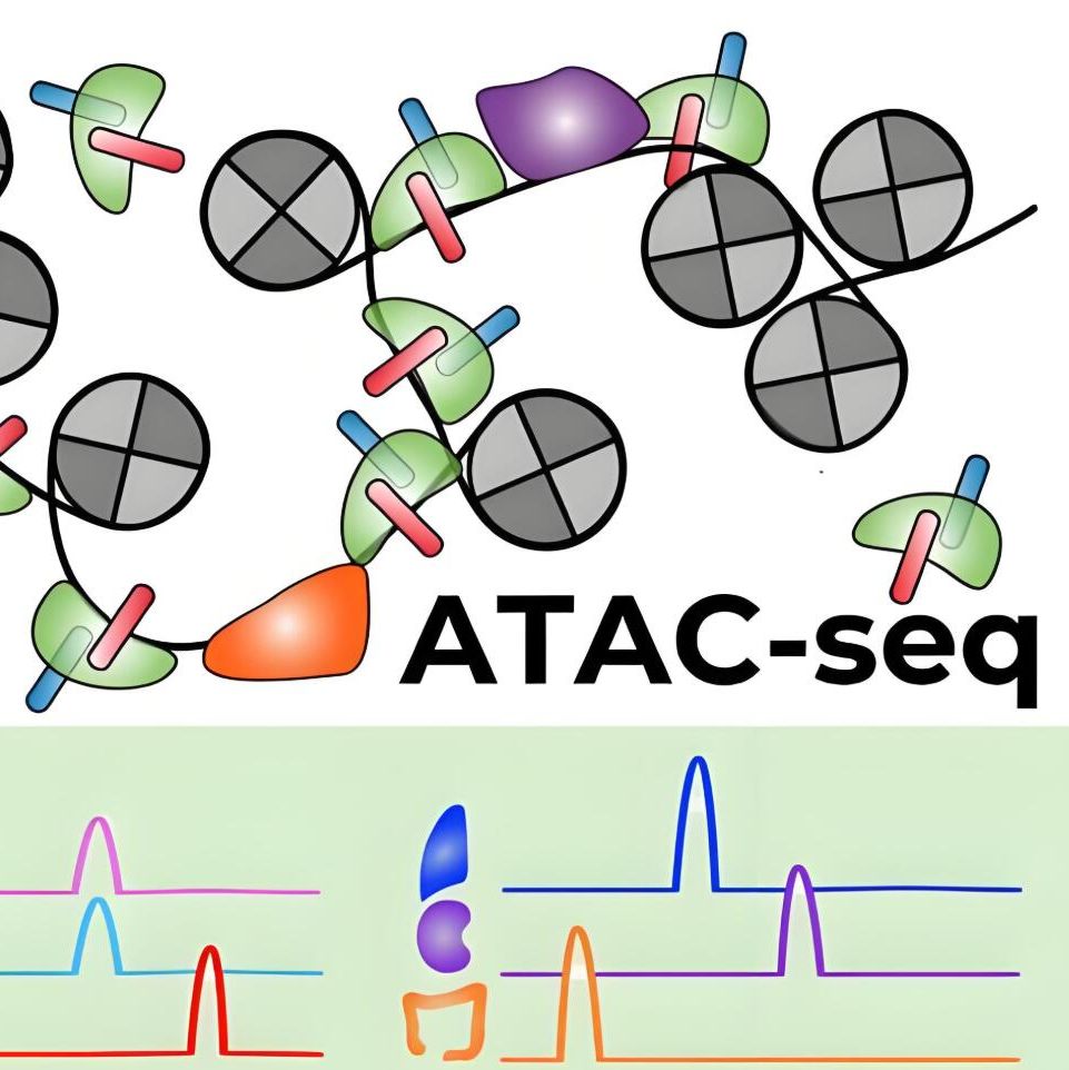 ATAC-seq