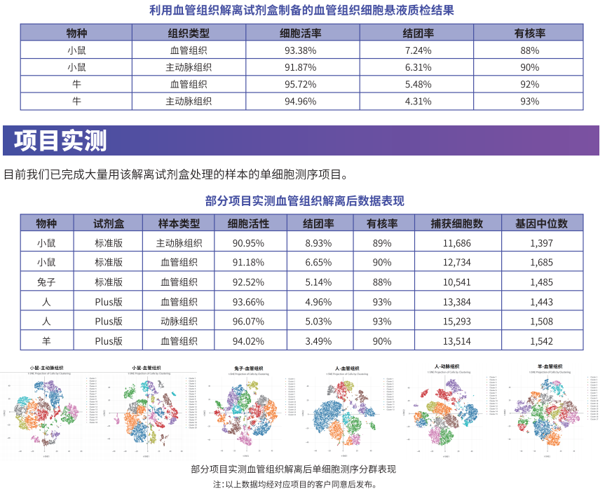 实验秘诀 | 百奥益康血管组织解离试剂盒使用攻略