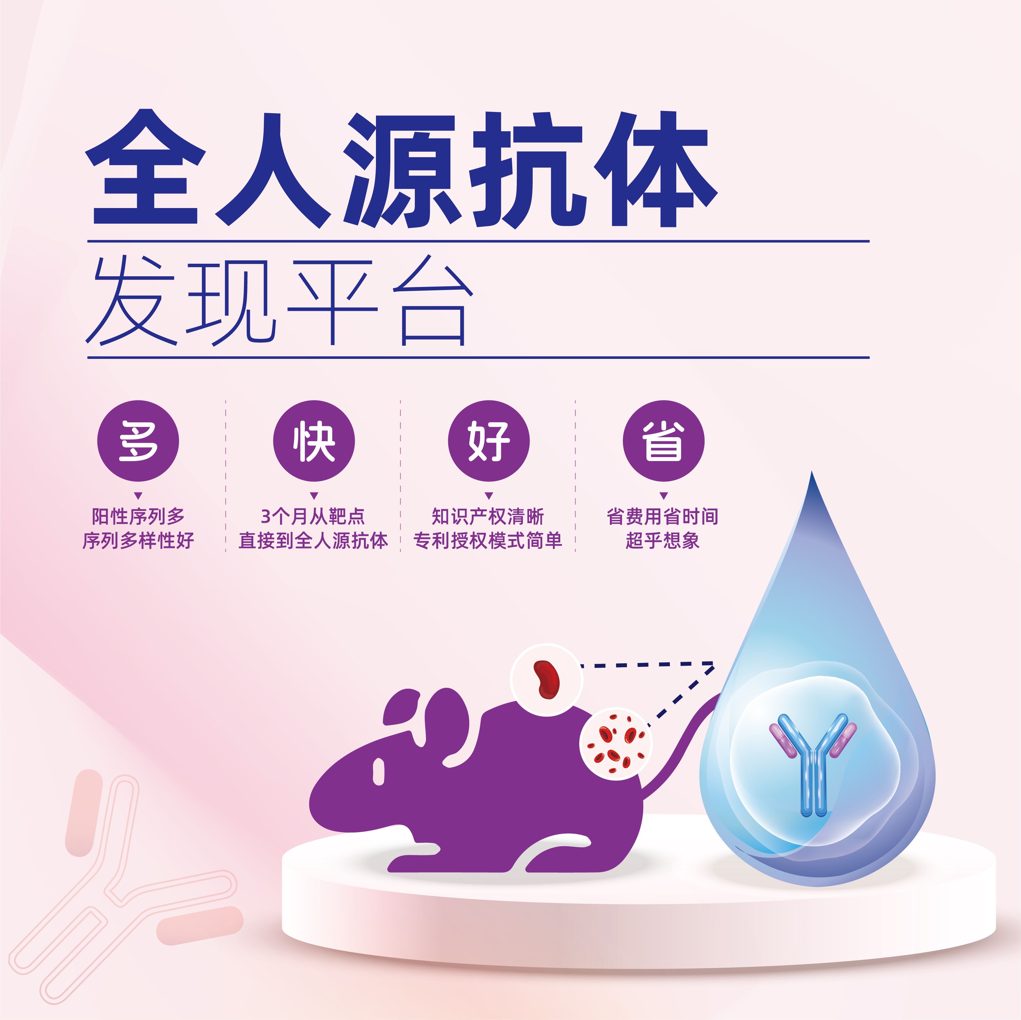 高通量全人源抗体发现平台