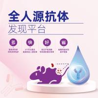 高通量全人源抗体发现平台