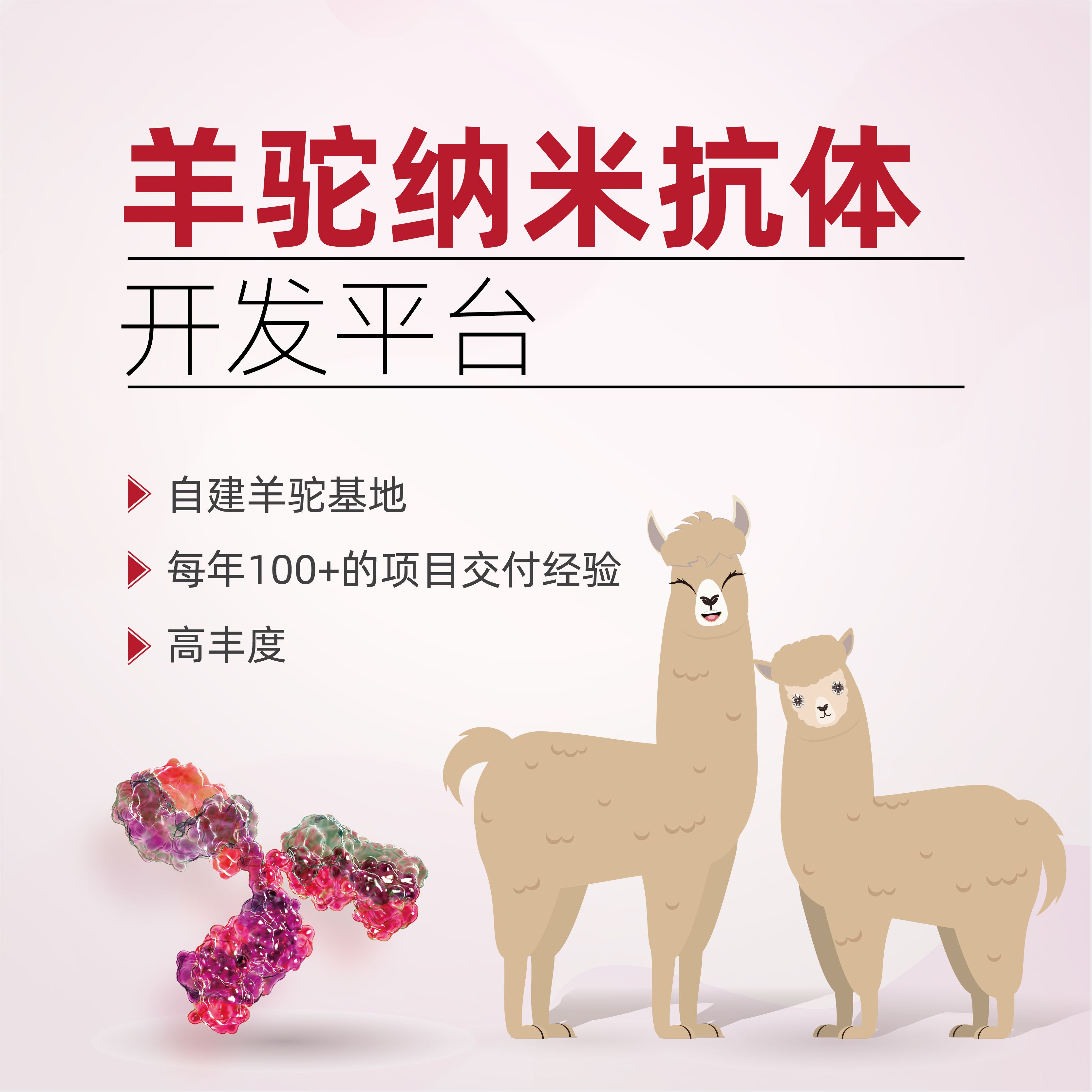 纳米抗体制备服务