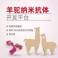 纳米抗体制备服务