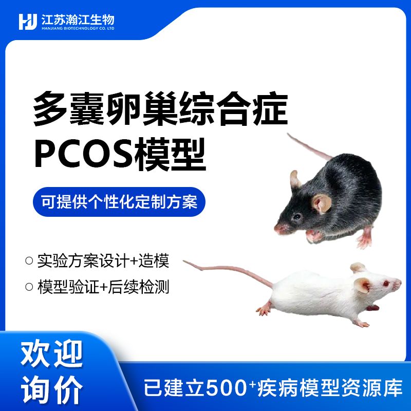 多囊卵巢综合症PCOS模型