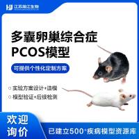 多囊卵巢综合症PCOS模型