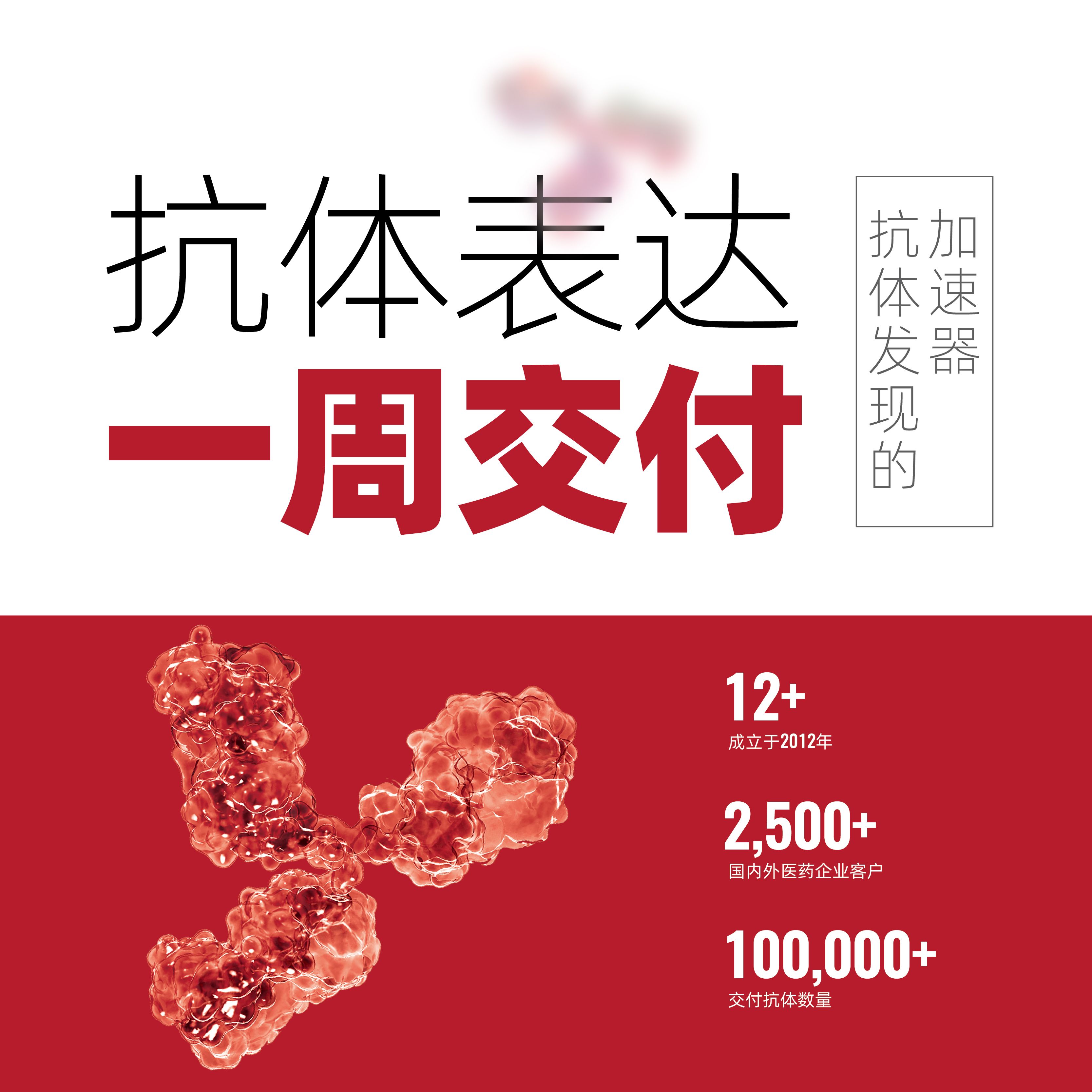 百英生物 抗体表达 一周交付